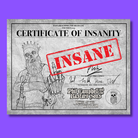Kings Of The Asylum - Certificate Of Insanity